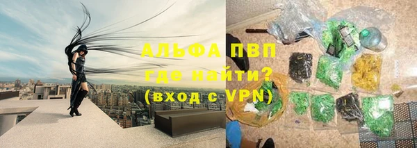 стаф Козельск