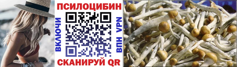 Галлюциногенные грибы MAGIC MUSHROOMS  Купить где  Купино 